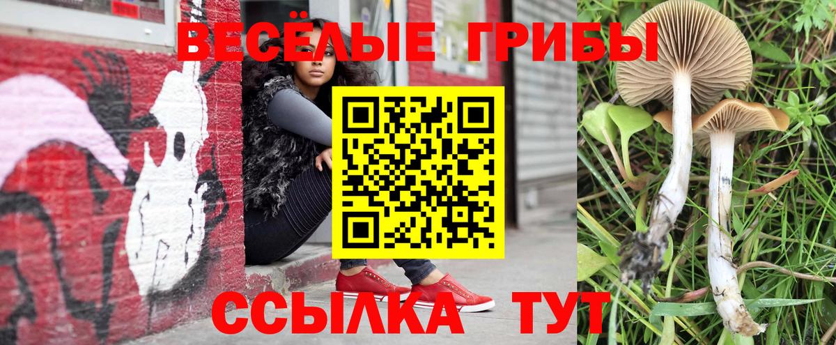 Галлюциногенные грибы мицелий Лянтор