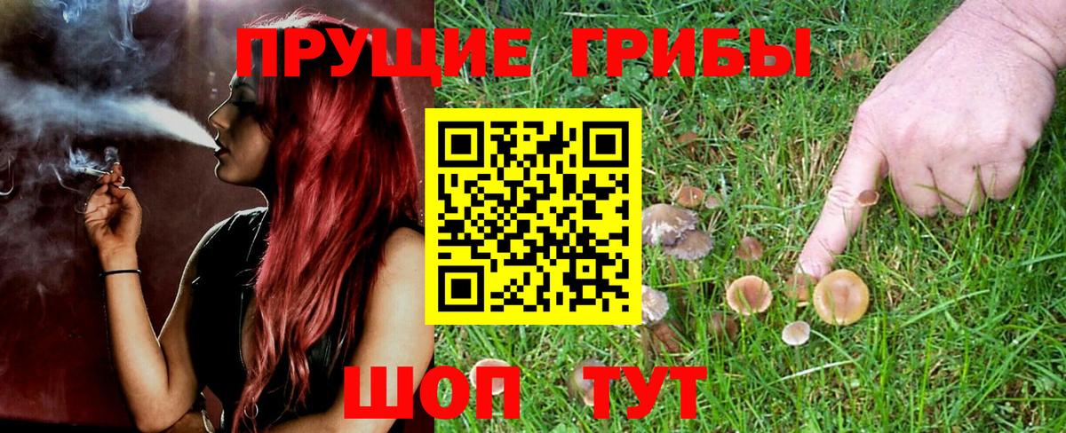 Галлюциногенные грибы Psilocybine cubensis  Вход с VPN  Галлюциногенные грибы мухоморы  Лянтор 